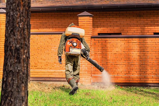 Trusted Bed Bug Control service in Long Prairie, MN - Nex Pest Control